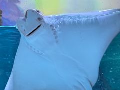 -沈阳海洋探索中心