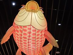 -肥福排档(星光店)