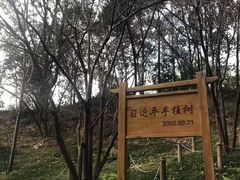 -福道