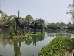 -黄龙溪古镇