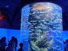 -波塞冬旅游度假区