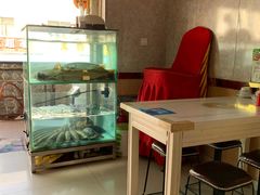 -煲来饱去冷水鱼