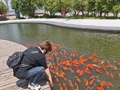 -阳澄湖半岛旅游度假区