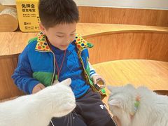 -有猫主题·治愈系猫咖(曾厝垵店)