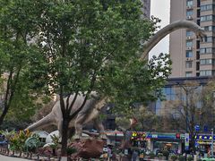 -陕西自然博物馆