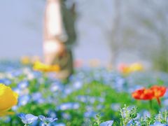 -上海辰山植物园