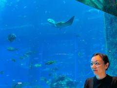 -亚特兰蒂斯•OSSIANO奥西亚诺海底餐厅