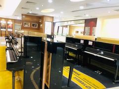 -知音艺术教育培训·钢琴培训·音乐培训(河西金鹰世界校区)