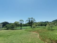 -普陀山风景名胜区-千步大沙