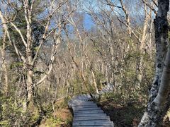 -白草畔自然风景区