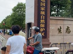 -广东惠东海龟国家级自然保护区