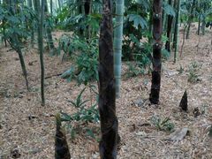 -苏州河梦清园环保主题公园