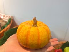 -福照楼汽锅鸡·云南菜(护国路店)