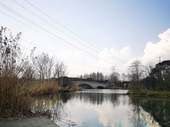 -九里河湿地公园