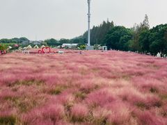 -嘉北郊野公园