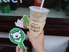 -猫的魔法密林(衣裳街店)