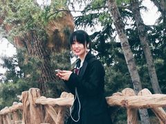 -太阳部落