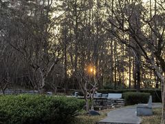 -深圳国际园林花卉博览园