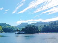 -庐山风景区花径公园