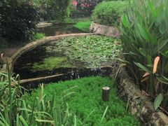 -成都市活水公园