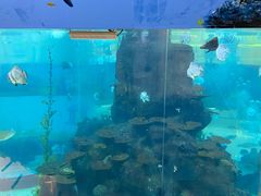 -鸿通城购物中心