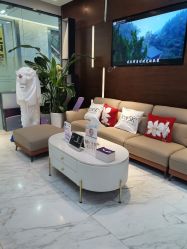 -洁铭新加坡医美