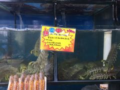 -蚝专家(北滘店)