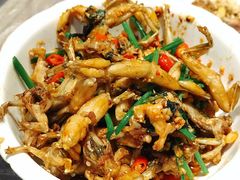 爆炒田鸡-壹盏灯(惠农店)