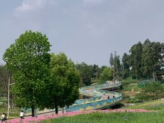 -白鹭湾湿地公园