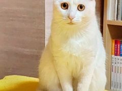 -纳吉亚猫专科动物医院博雅分院