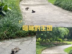 -晓港公园
