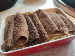 -钢管厂五区小郡肝火锅串串香(总店)