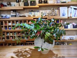 -今日陶艺(富力广场店)