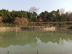 -嘉定紫藤园
