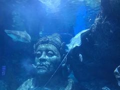 -暹罗海洋世界