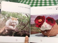 -赏饮·WILL TEA