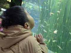 -海合安成都极地海洋公园