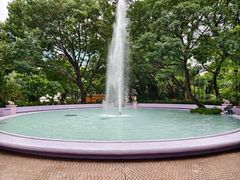 -九龙公园