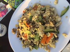 -明珠湖天鹅苑·农家菜馆