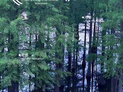 -白鹭湾湿地公园