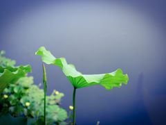 -吴山烤禽 (吴山路店)