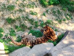 -无锡动物园·太湖欢乐园