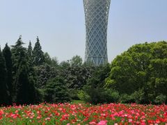 -上海滨江森林公园