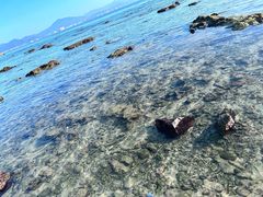 -三亚西岛海洋文化旅游区