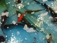 -屯靠屯地锅王(西南路店)