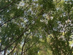 -同里国家湿地公园