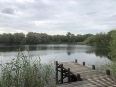-苏州太湖国家湿地公园