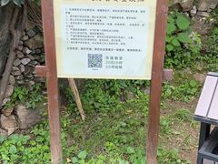 -幽岚山·童话森林