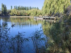 -将府公园