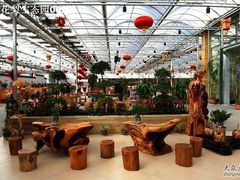 大厅（茶吧）-龙凤山庄(永定镇店)